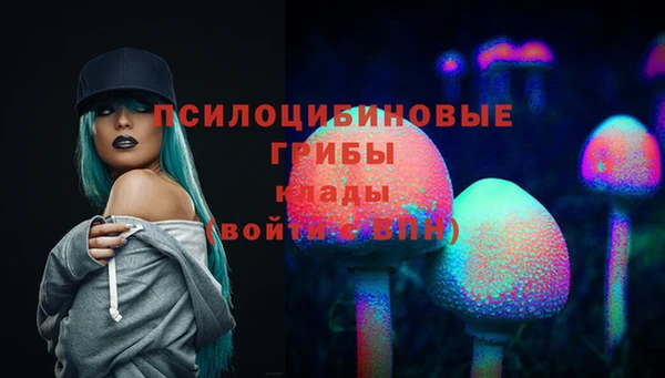 мяу мяу мука Осташков