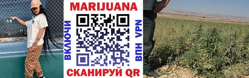 Бошки Шишки ГИДРОПОН  Фокино 